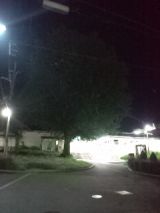 35318.jpg