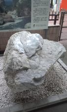 35396-2.jpg