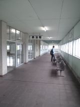 35398-3.jpg