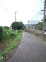 35405-8.jpg