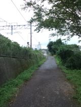 35405-9.jpg