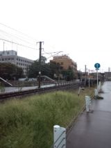 35412.jpg