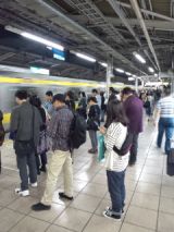 35424-1.jpg