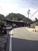 35439-3.jpg