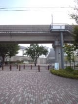 35466.jpg