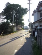 35472-4.jpg