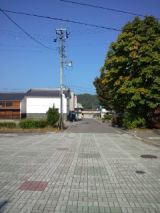 35477-5.jpg
