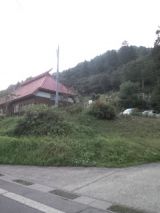 35497-5.jpg