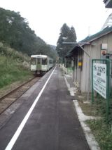 35497.jpg