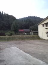 35499.jpg