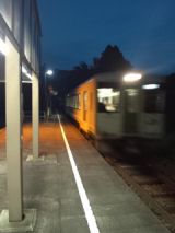 35501.jpg