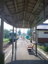 35538.jpg