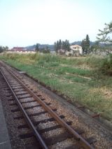 35546-1.jpg
