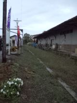 35569-1.jpg