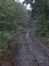 35575-7.jpg