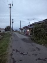 35594-5.jpg
