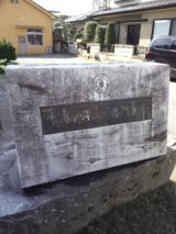 35620-1.jpg