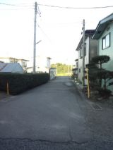 35695-3.jpg