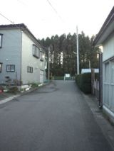 35695-4.jpg