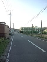 35695-5.jpg
