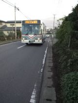 35696.jpg