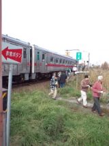 35721-1.jpg