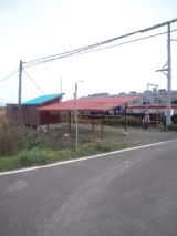 35725.jpg