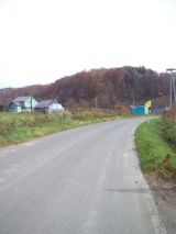 35730-2.jpg