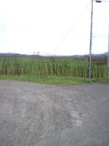 35738-2.jpg