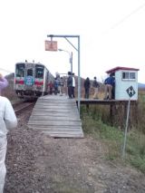 35738-4.jpg