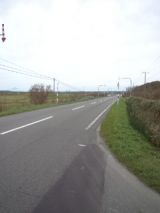 35741-2.jpg