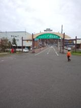 35746-5.jpg