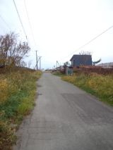 35749-1.jpg