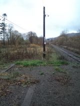 35776-2.jpg