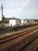 35865-1.jpg