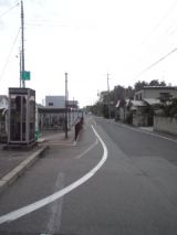 35872-4.jpg