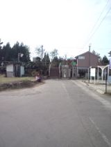 35875-3.jpg
