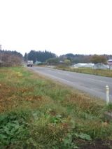 35884-5.jpg