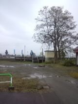 35927-3.jpg