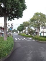 35967-5.jpg
