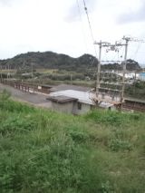 35981.jpg