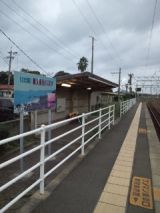 35982-1.jpg