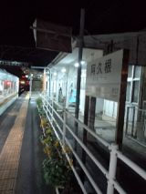 35986.jpg