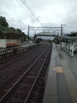 36000-1.jpg