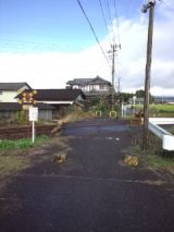 36013-6.jpg