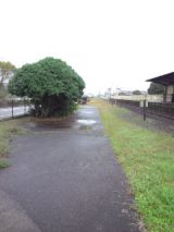 36016-5.jpg