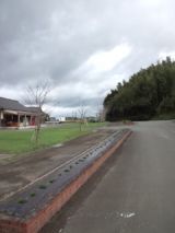 36017-5.jpg