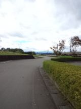 36017-6.jpg