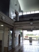 36019-4.jpg