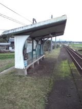 36022-1.jpg